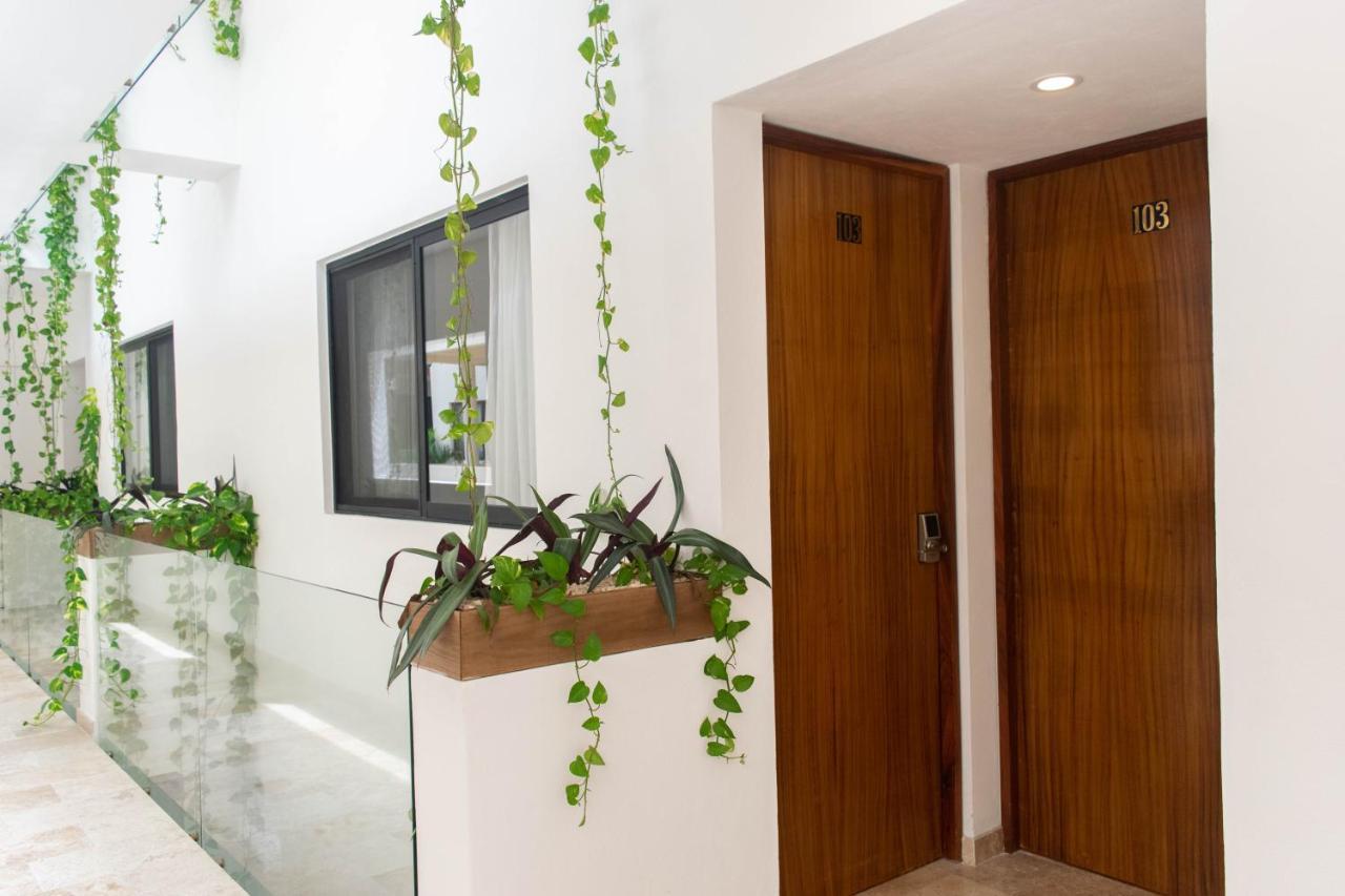 Brava Residence 图卢姆 外观 照片